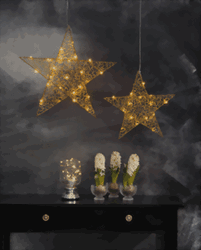 Zeige Details für Loop Star brass Trafo Bild von Loop Star brass Trafo