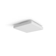Zeige Details für SF FLAT SQ 330 P 19-12W CPS Bild von SF FLAT SQ 330 P 19-12W CPS