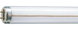 Zeige Details für BEE TL-M RS 40W/840 weiss  T12 G13 mit Zündstreifen Bild von BEE TL-M RS 40W/840 weiss  T12 G13 mit Zündstreifen