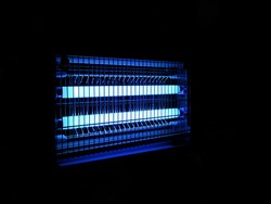 Zeige Details für TL 20W/BL Blacklight T12 Röhren G13 Bild von TL 20W/BL Blacklight T12 Röhren G13