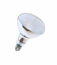 Zeige Details für Ultra Vitalux klar 230V 300W E27 Bild von Ultra Vitalux klar 230V 300W E27