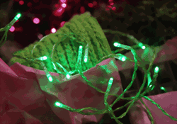 Bild von Batteriebetrieben Lichterketten 15-Teilig Grün