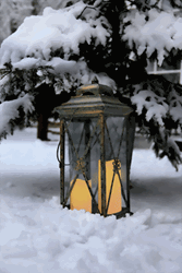 Zeige Details für Twin (Outdoor) Grün Bild von Twin (Outdoor) Grün