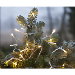 Zeige Details für LED Mini-Lichterketten warmweiss 90-teilig transparent Bild von LED Mini-Lichterketten warmweiss 90-teilig transparent