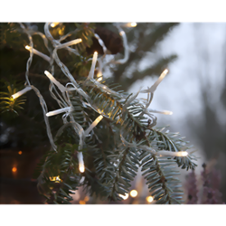 Zeige Details für LED Mini-Lichterketten warmweiss 180-teilig transparent Bild von LED Mini-Lichterketten warmweiss 180-teilig transparent