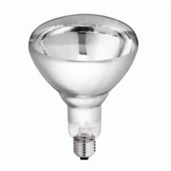 Zeige Details für Infrarotlampen R125 klar 230V 250W E27 Bild von Infrarotlampen R125 klar 230V 250W E27