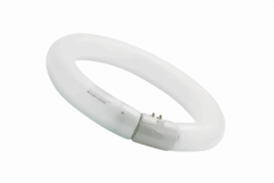 Zeige Details für Circline 32W/BL Blacklight T9 G10q Bild von Circline 32W/BL Blacklight T9 G10q