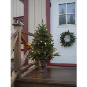 Bild von Weihnachtsbaum Byske 120cm Outdoor