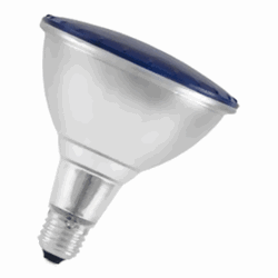 Zeige Details für Bailey LED PAR38 240V 15W E27 blau Bild von Bailey LED PAR38 240V 15W E27 blau
