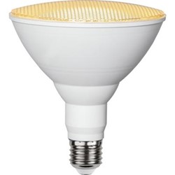 Zeige Details für Pflanzenspot LED PAR38 IP44 230V 16W E27 90° Bild von Pflanzenspot LED PAR38 IP44 230V 16W E27 90°