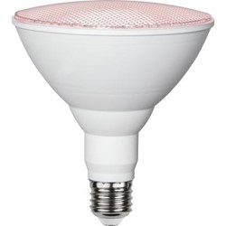 Zeige Details für Pflanzenspot LED PAR38 230V 16W E27 90° Bild von Pflanzenspot LED PAR38 230V 16W E27 90°