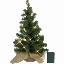 Bild von Weihnachtsbaum Toppy 60cm Timer Indoor