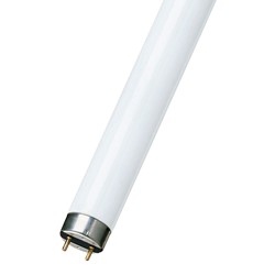 Zeige Details für L 36W/954 Tageslicht T8 Röhren G13 Bild von L 36W/954 Tageslicht T8 Röhren G13