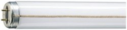 Zeige Details für TL-M RS Super 80 20W/830 warmweiss für starterlosen Betrieb Bild von TL-M RS Super 80 20W/830 warmweiss für starterlosen Betrieb
