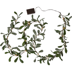 Zeige Details für 612-93 Mistelzweig 12x180cm Bild von 612-93 Mistelzweig 12x180cm