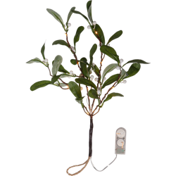 Zeige Details für  612-92 Mistelzweig 20x35cm Bild von  612-92 Mistelzweig 20x35cm