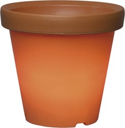 Zeige Details für System 24 Gartentopf Start, schwarzes Kabel Bild von System 24 Gartentopf Start, schwarzes Kabel