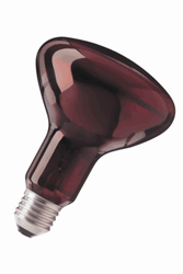 Zeige Details für Infrarotlampen R95 mit Rotfilter 230V 100W E27 Bild von Infrarotlampen R95 mit Rotfilter 230V 100W E27