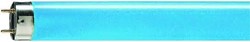 Zeige Details für TLD 36W/18 blau T8 Röhren G13 Bild von TLD 36W/18 blau T8 Röhren G13
