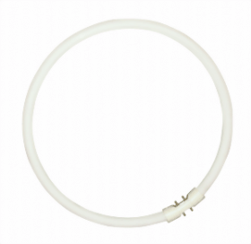 Bild von BEE T5 Circline plus 40W/830 warmweiss 16mm 2GX13 