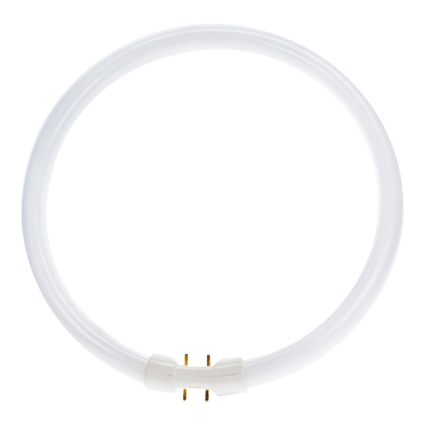 Bild von BEE Circular T5 60W/830 warmweiss 2GX13