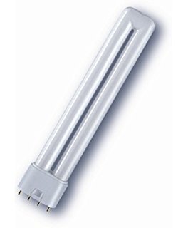 Bild von Dulux L (PL-L) 36W/865 Tageslicht 2G11