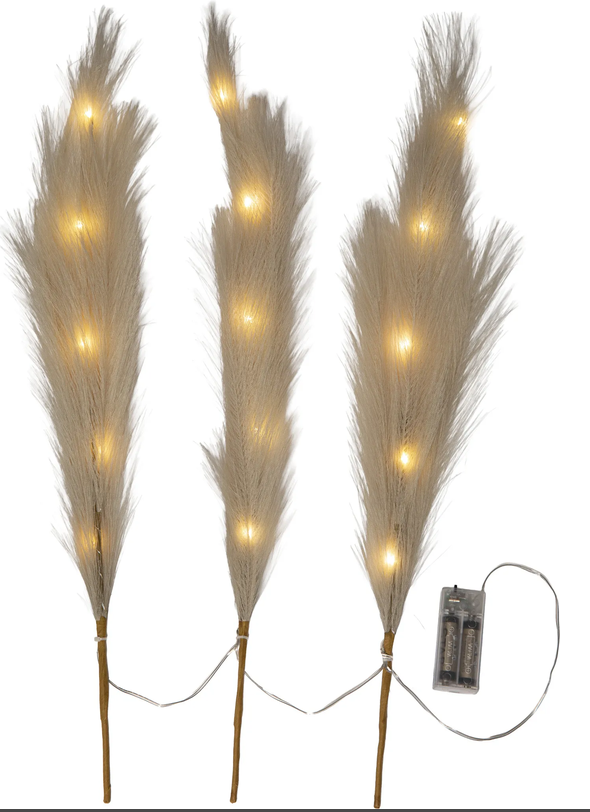 Bild von Zweig Plumes 65cm braun, indoor