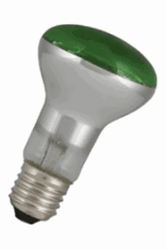 Bild von Baicolour LED Filament R63 240V 4W E27 grün