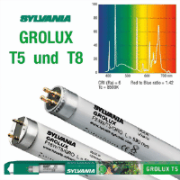 Bild von F 58W/Grolux