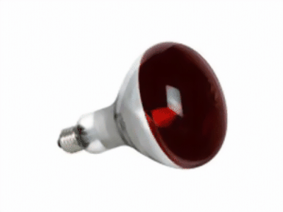 Bild von Infrarotlampen R125 mit Rotfilter 235V-245V 250W E27