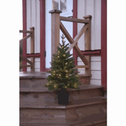 Bild von Weihnachtsbaum Byske 90cm Timer Outdoor