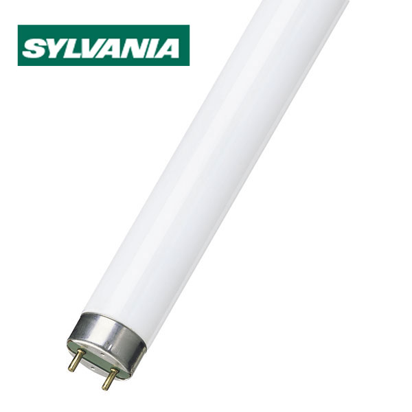 Signal-Glühlampe DURLUX BA15s 32V 18W Ø20×45mm