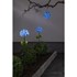 Bild von Gartenspiess Hortensia blau, Bild 2