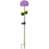 Bild von Gartenspiess Hortensia violet, Bild 1