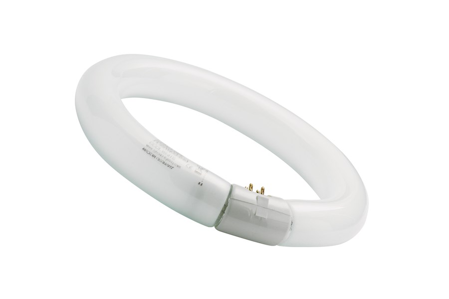 Bild von FC Circline  22W/840 weiss T9 G10q