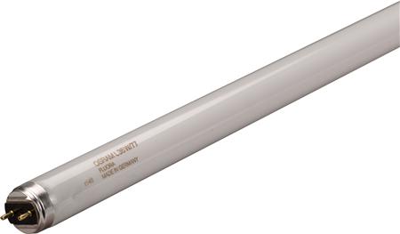 Bild von L 30W/77 Fluora T8 Röhren G13