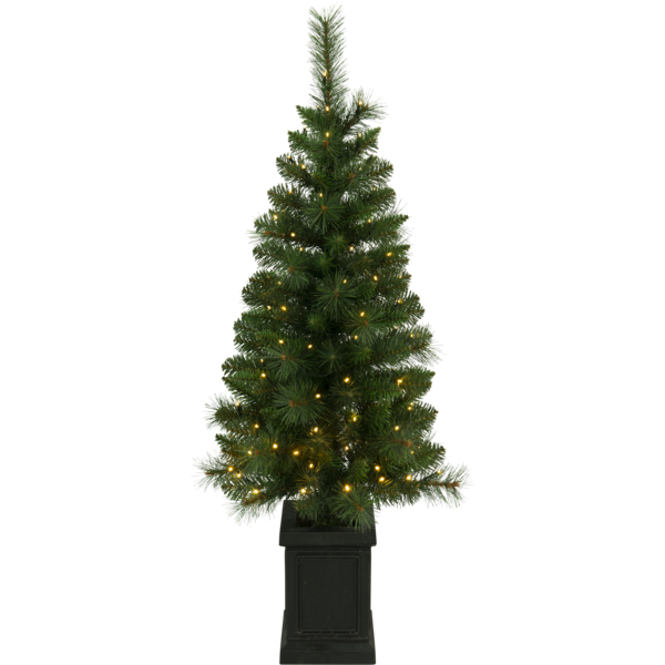 Bild von Weihnachtsbaum Hytte 120cm in Topf