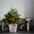 Bild von Dekorative Weihnachtsbaum 75cm Timer IP44, Bild 3